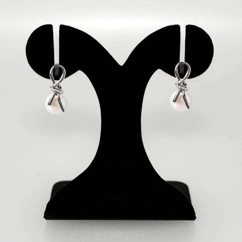 Infinite Promises Silver Drop Earrings