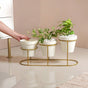 Ivory Ceramic Planters With Three Level Gold Metal Stand