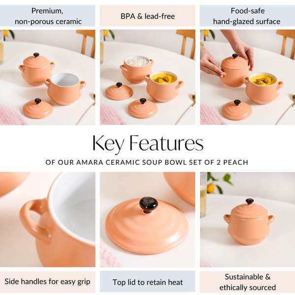 Peach Amara Ceramic Ramen Bowl Set With Lid Of 2 450ml