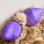 Lavender Sola Bud Tea Light Holder Set Of 4