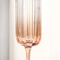 Lumos Champagne Glass Set Of 2 210ml