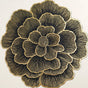 Luxe Bloom Radiance Table Mat Set Of 6