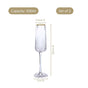 Luxe Champagne Glass Set Of 2 200ml