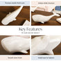 Minimalist White Whale Sculpture Large