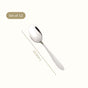 Mirror Finish Spoon Set Of 12