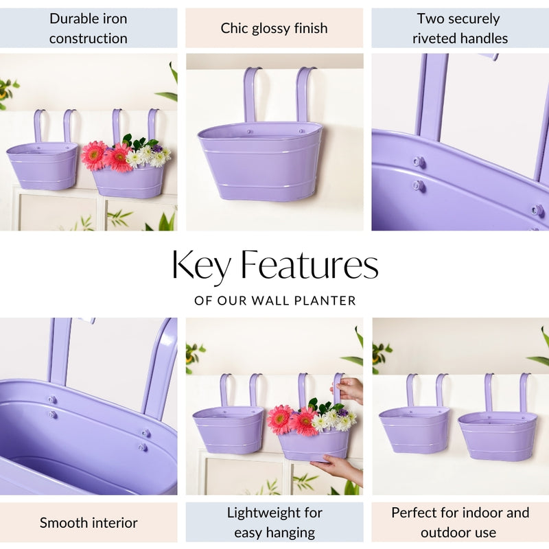 Modern Wall Decor Hanging Planter Lavender Set Of 2