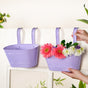 Modern Wall Decor Hanging Planter Lavender Set Of 2