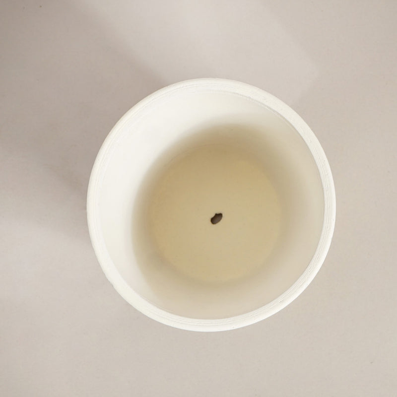 Modern Two Tier Gold Stand And Off White Terracotta Planters