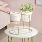 Modern Two Tier Gold Stand And Off White Terracotta Planters