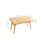 Portable Tray Table