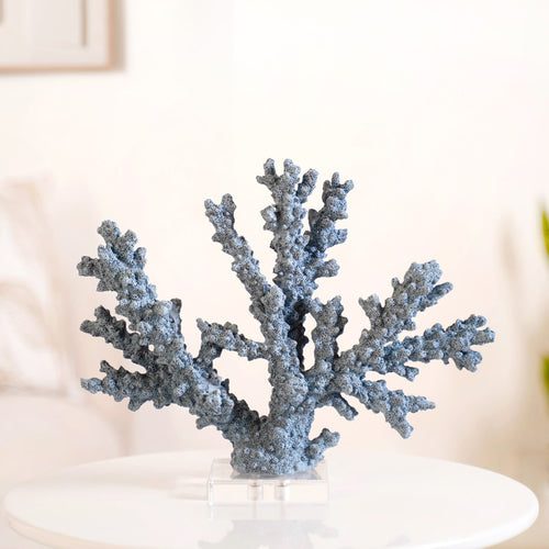 Nautical Coral Decor