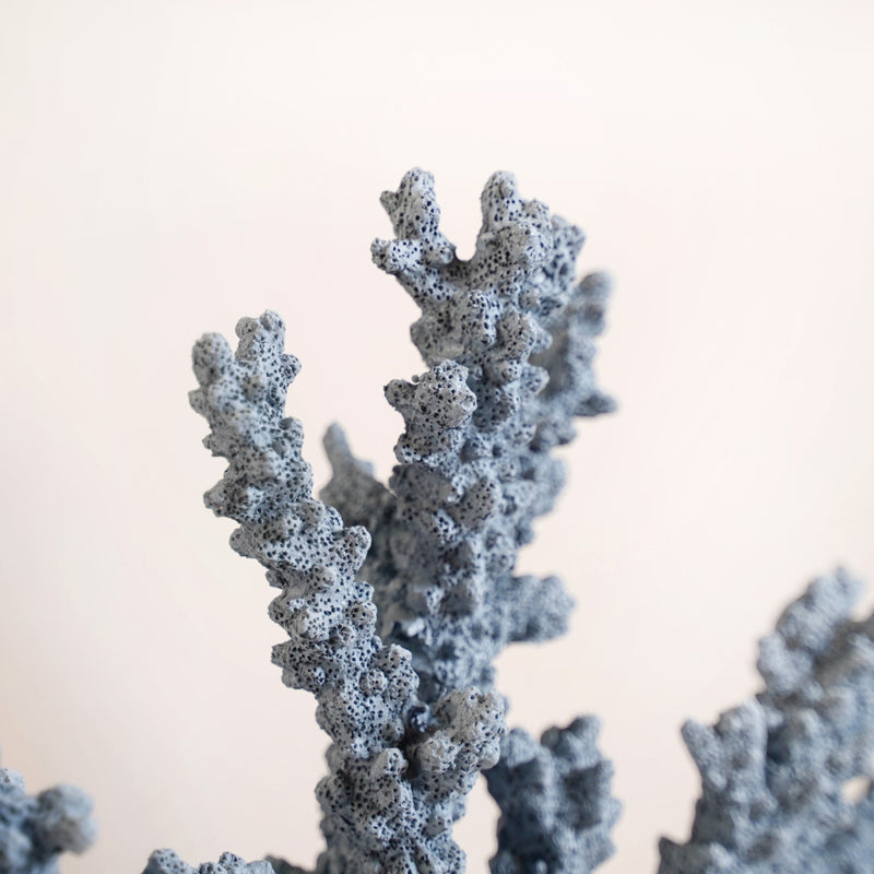 Nautical Coral Decor