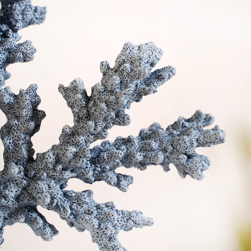 Nautical Coral Decor