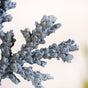 Nautical Coral Decor