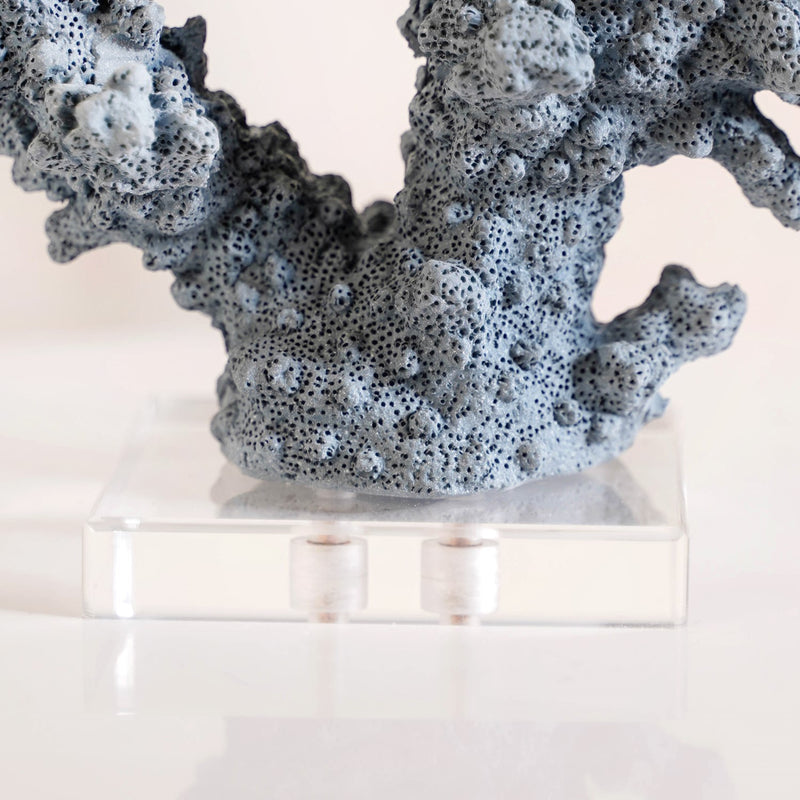 Nautical Coral Decor