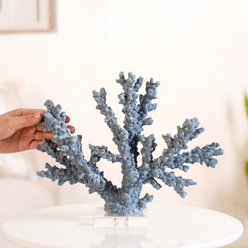 Nautical Coral Decor