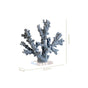 Nautical Coral Decor