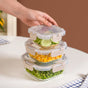 Nestro Airtight Containers Set Of 3 S 300ml M 500ml L 800ml