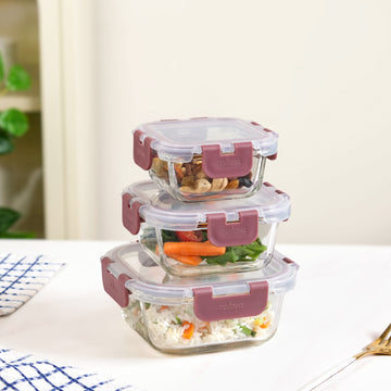 Nestro Airtight Food Storage Containers Set Of 3 S 160ml M 300ml L 500ml