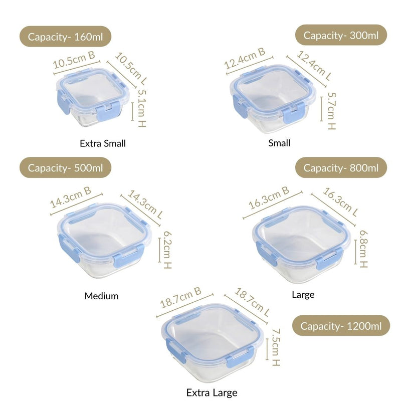 Nestro Airtight Food Storage Square Container Set Of 5 Blue