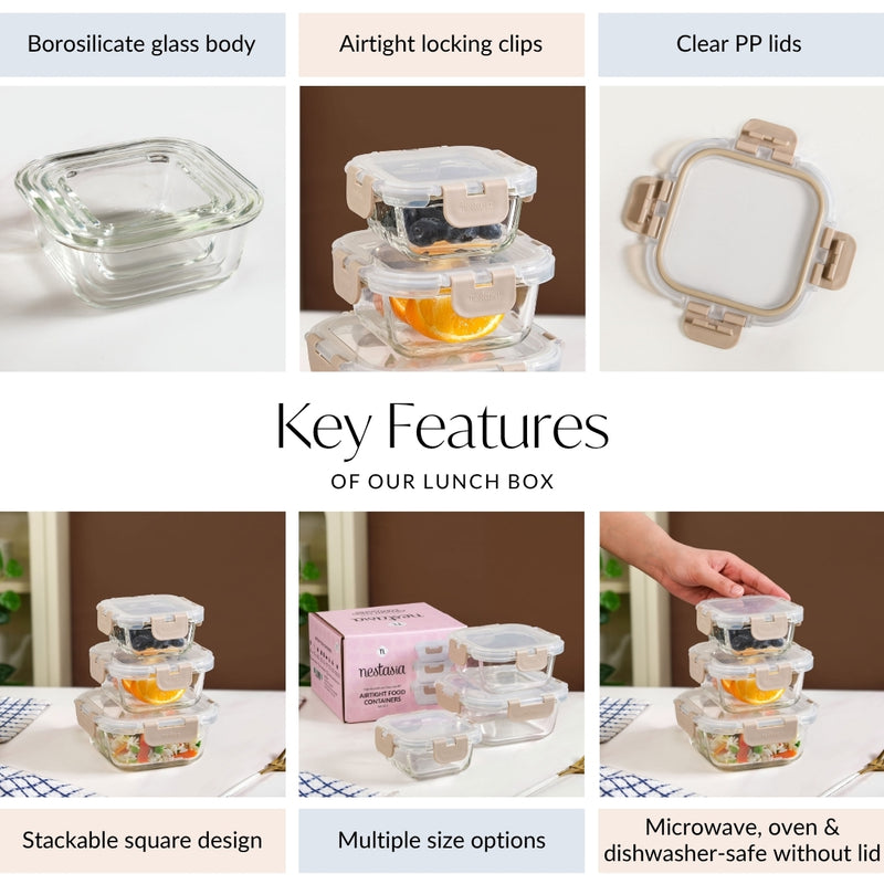 Nestro Airtight Containers Set Of 3 S 160ml M 300ml L 500ml