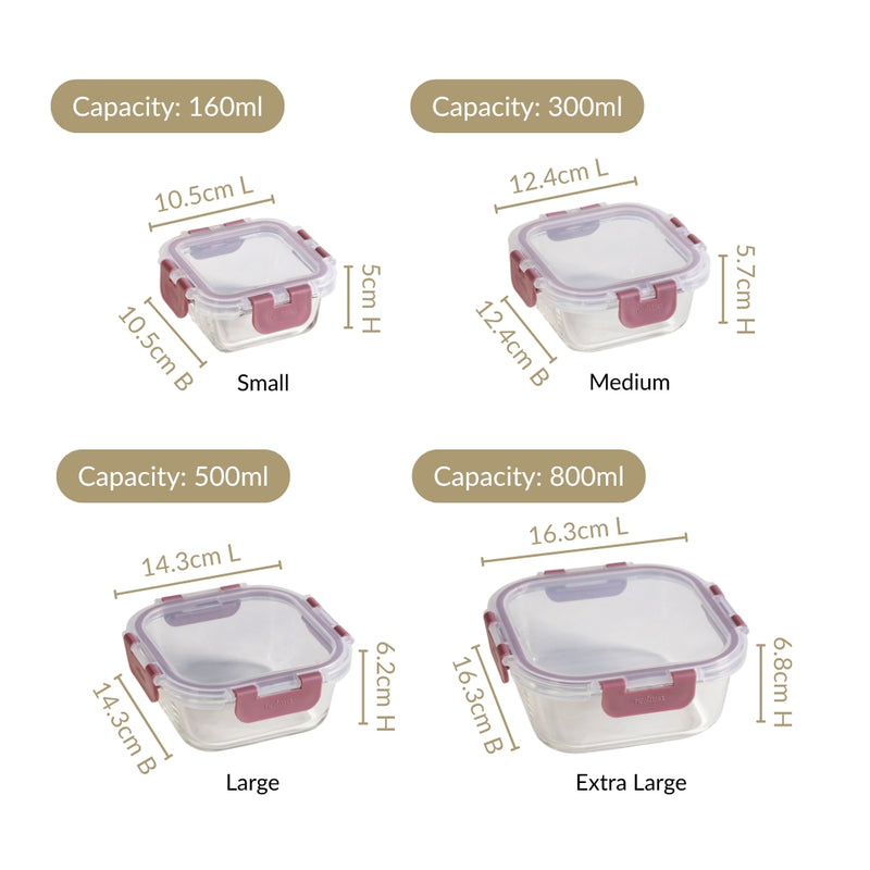 Nestro Airtight Containers Set Of 4 S 160ml M 300ml L500ml XL 800ml