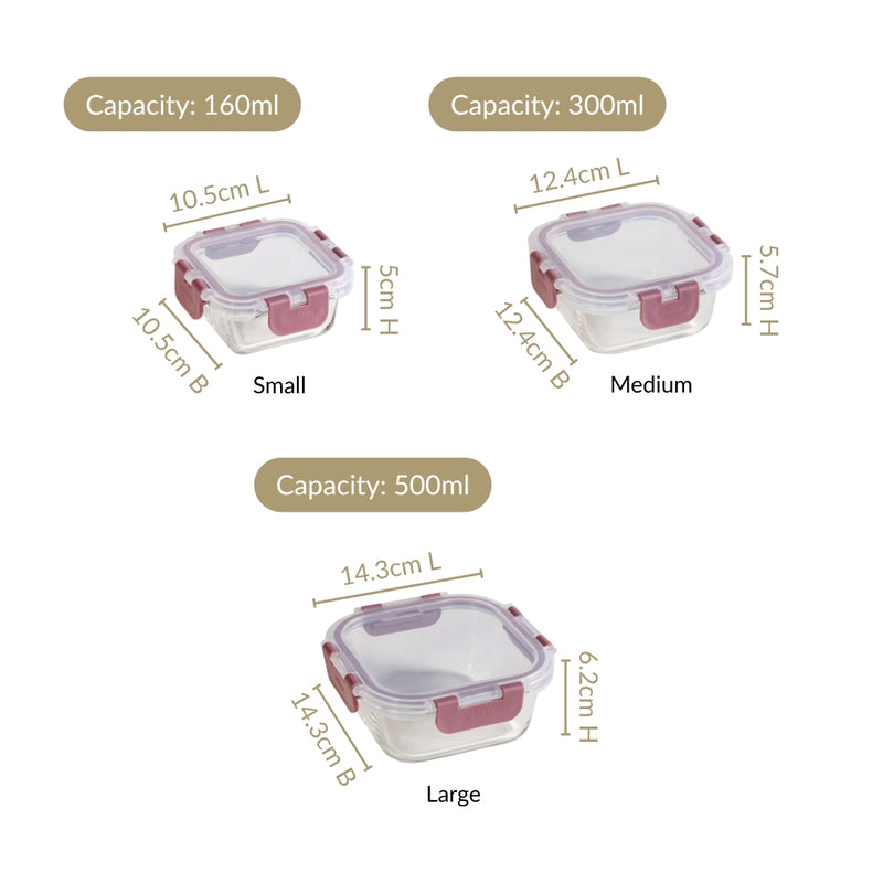 Nestro Airtight Food Storage Containers Set Of 3 S 160ml M 300ml L 500ml