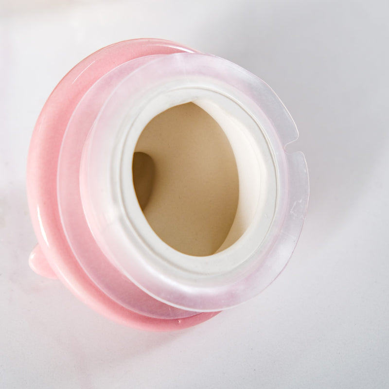 Pink Bird Ceramic Lid Glass Jar Set Of 2 1300ml