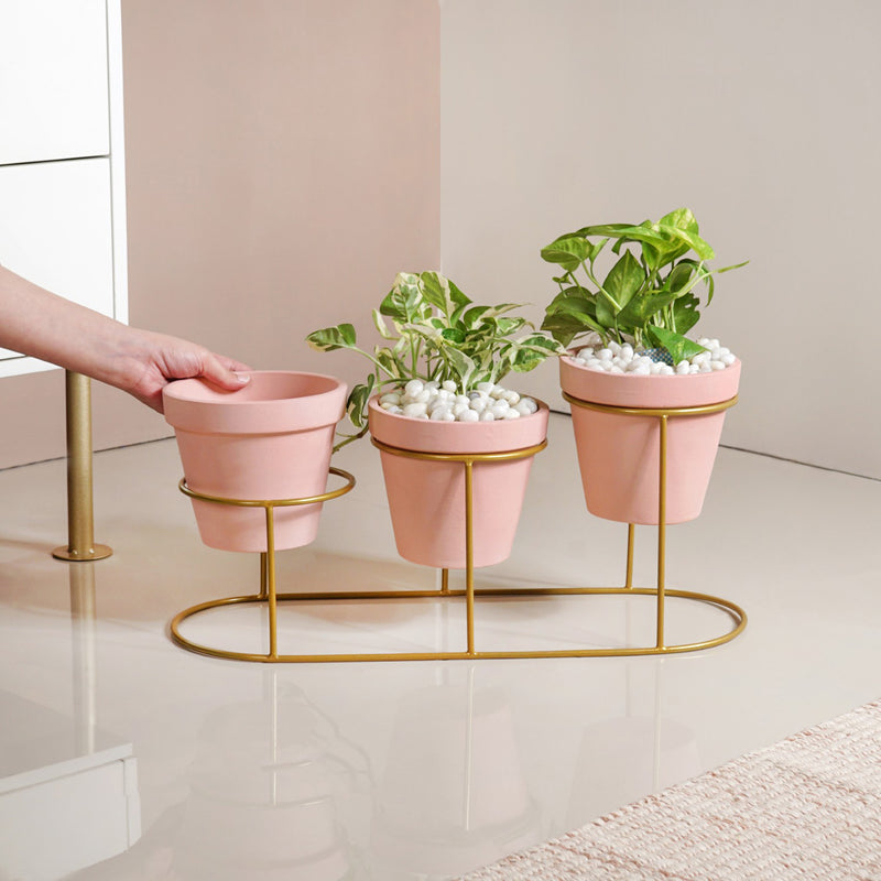 Pink Cascade 3 Tier Planter And Stand Set