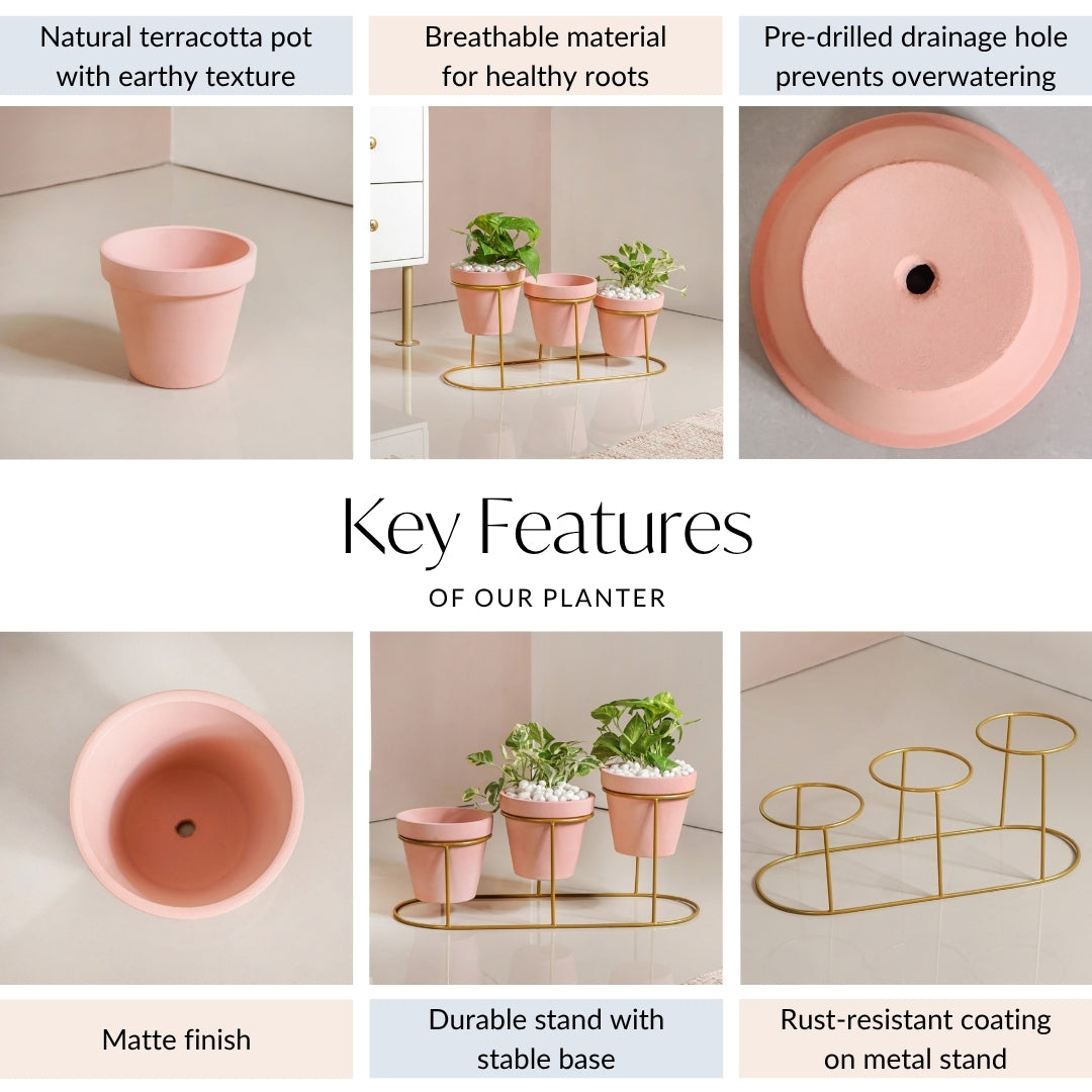 Pink Cascade 3 Tier Planter And Stand Set Online - Premium Planter