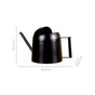 Pourtia Black Compact Metal Watering Can