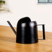 Pourtia Black Compact Metal Watering Can