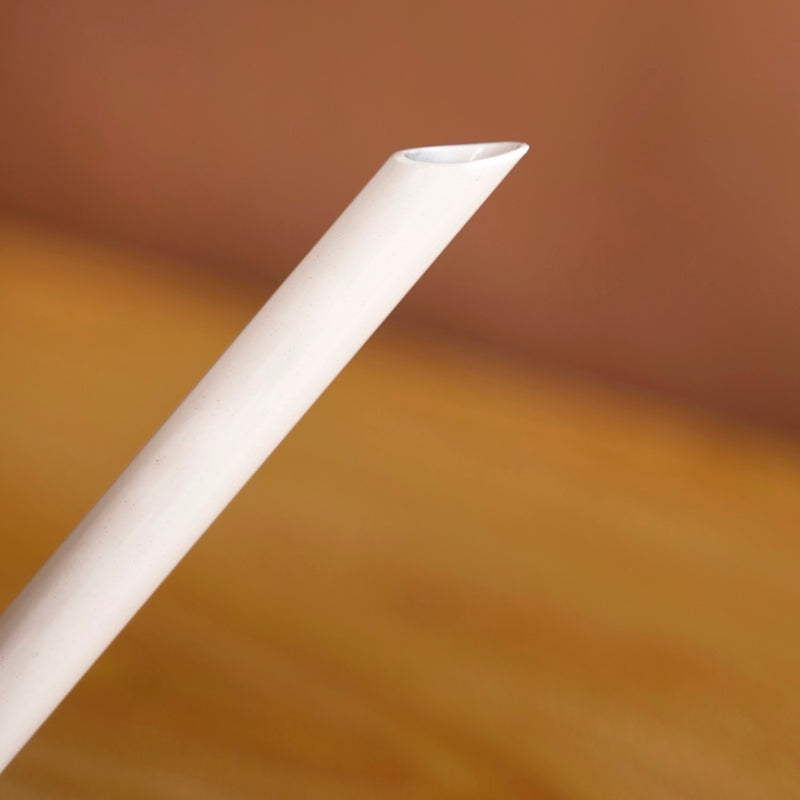 Pourtia Compact Metal Watering Can Shell