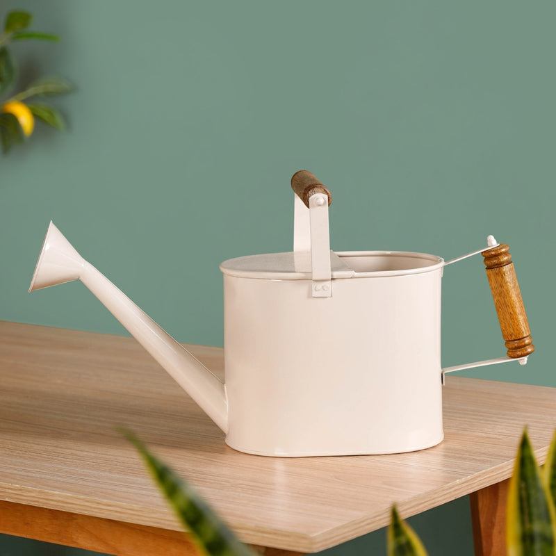 Pourtia Metal Plant Watering Can With Dual Wooden Handle