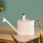 Pourtia Metal Plant Watering Can With Dual Wooden Handle