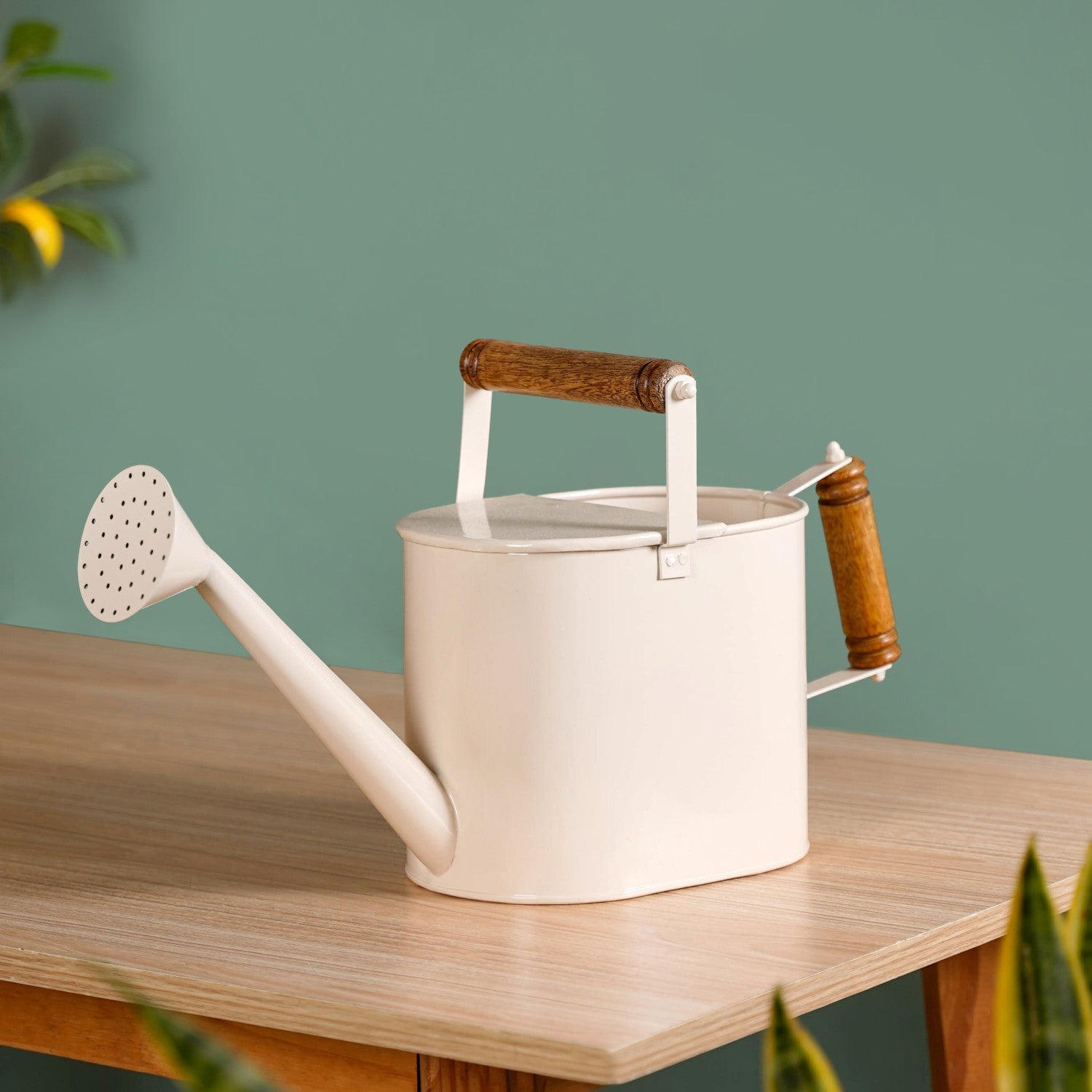 Glossy Finish Metal Plant Watering Can With Dual Wooden Handle