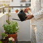 Pourtia Black Compact Metal Watering Can