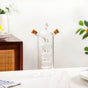 Premium Transparent Borosilicate Oil And Vinegar Dispenser
