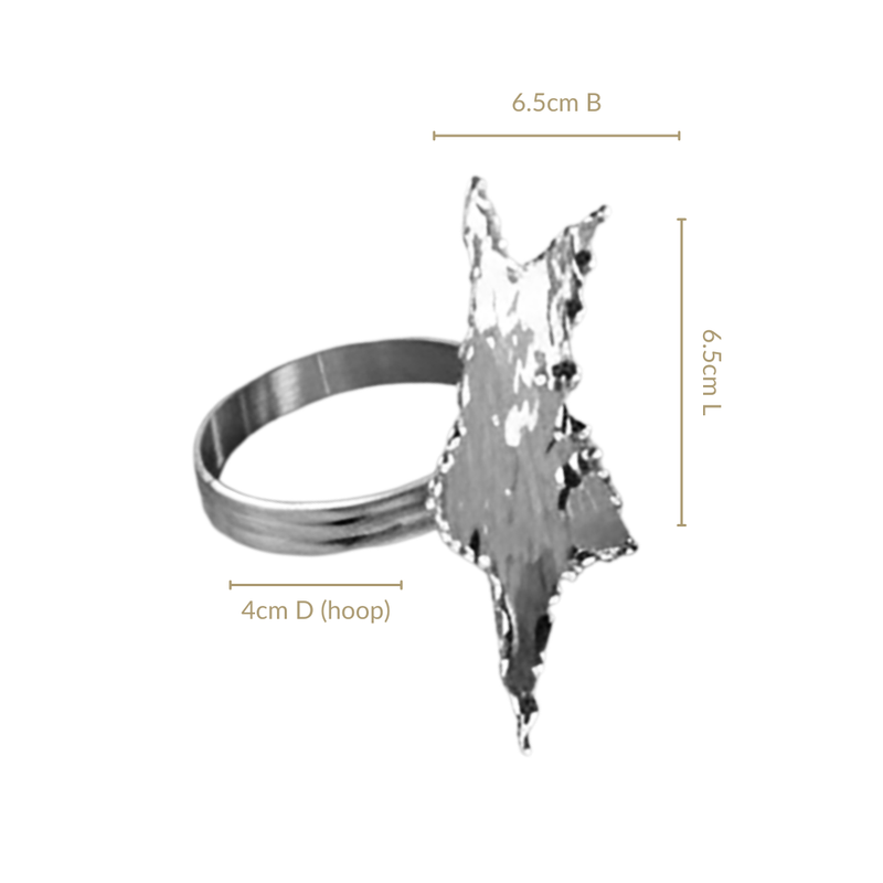 Pure Brass Star Napkin Ring With Silver Polish Set Of 6