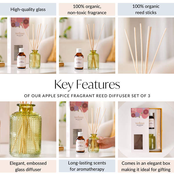 Apple Spice Fragrant Reed Diffuser Set Of 3