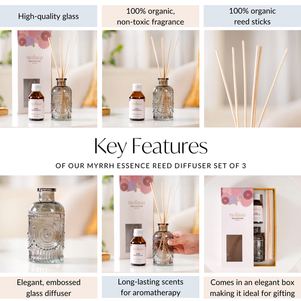 Myrrh Essence Reed Diffuser Set Of 3 Online - Premium Diffuser | Nestasia