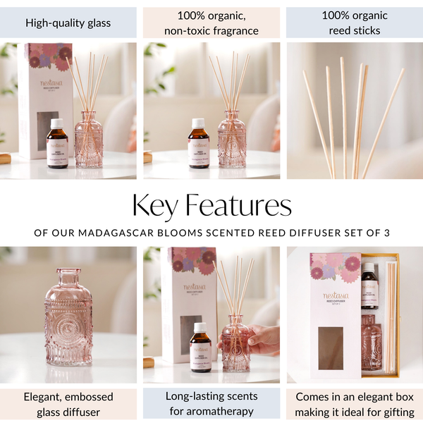 Madagascar Blooms Scented Reed Diffuser Set Of 3