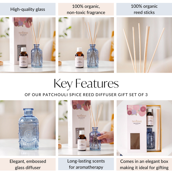 Patchouli Spice Reed Diffuser Gift Set Of 3