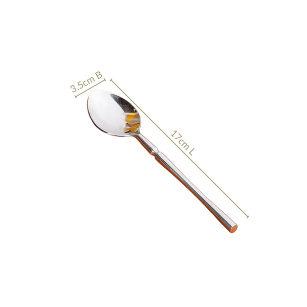 Minimalist Stainless Steel Spoon Set Of 6