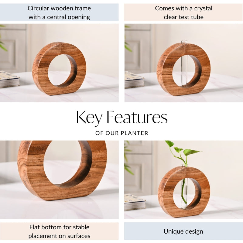 Ring Table Top Planter