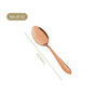 Rose Gold PVD Coated Spoon Set Of 12