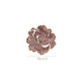 Rose Radiance Petal Placemat Set Of 6
