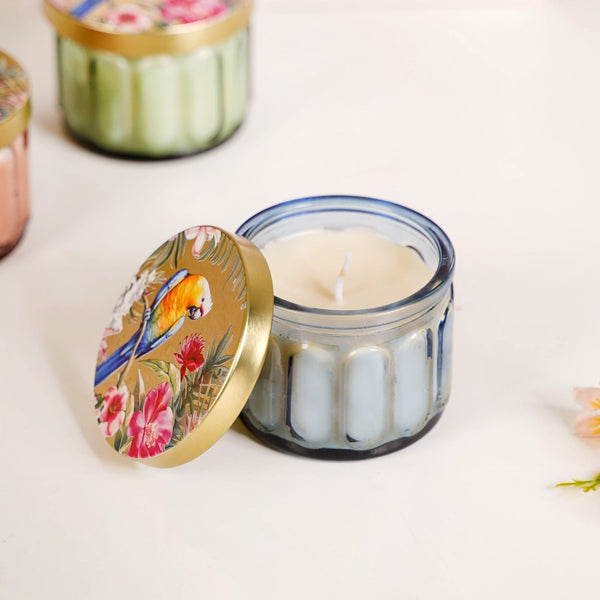 Tropical Wellness Scented Candle Set Of 4