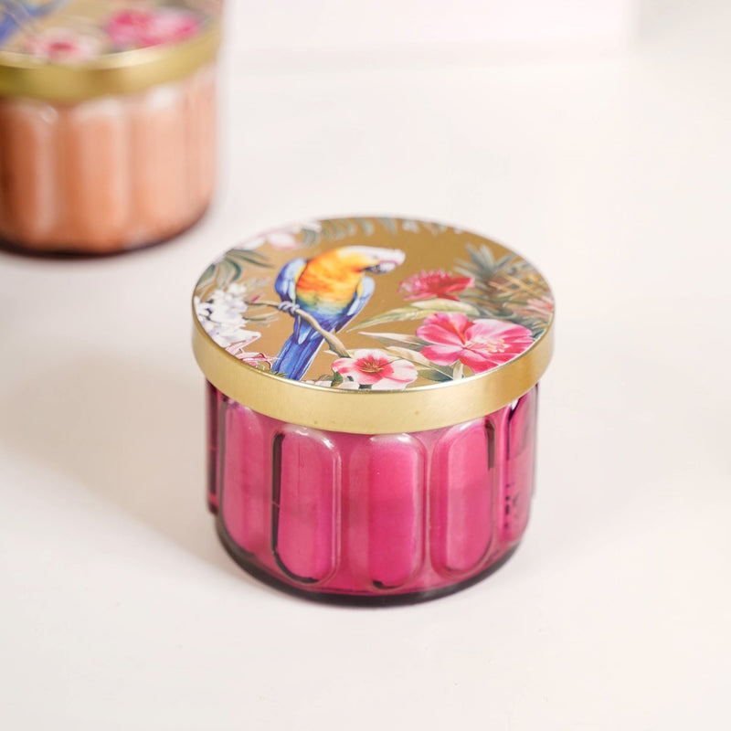 Tropical Wellness Scented Candle Set Of 4