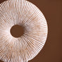 Modern Circular Seashell Ornament For Home Decor